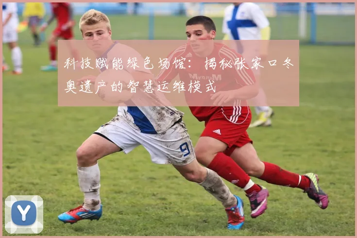 科技赋能绿色场馆：揭秘张家口冬奥遗产的智慧运维模式