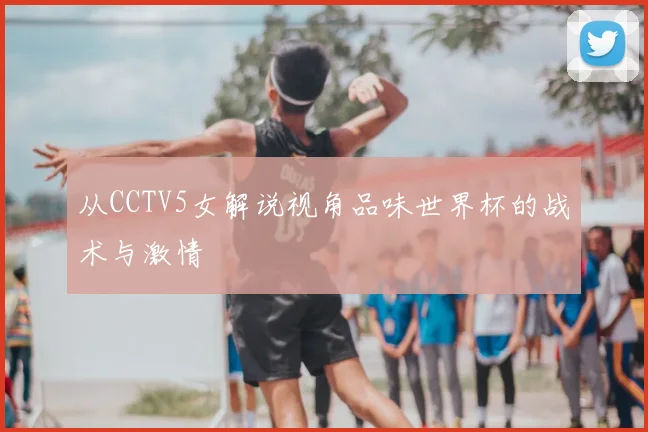 从CCTV5女解说视角品味世界杯的战术与激情