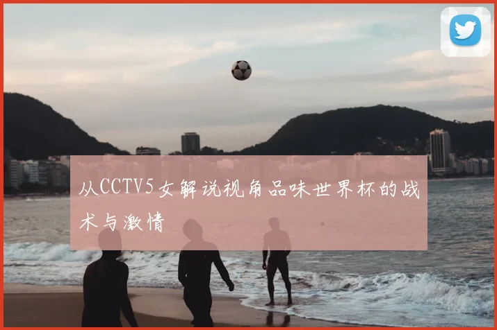 从CCTV5女解说视角品味世界杯的战术与激情