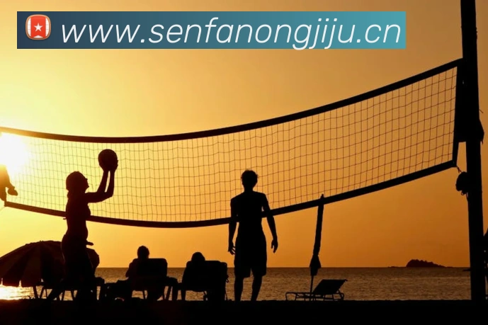 mksports网站服务体系